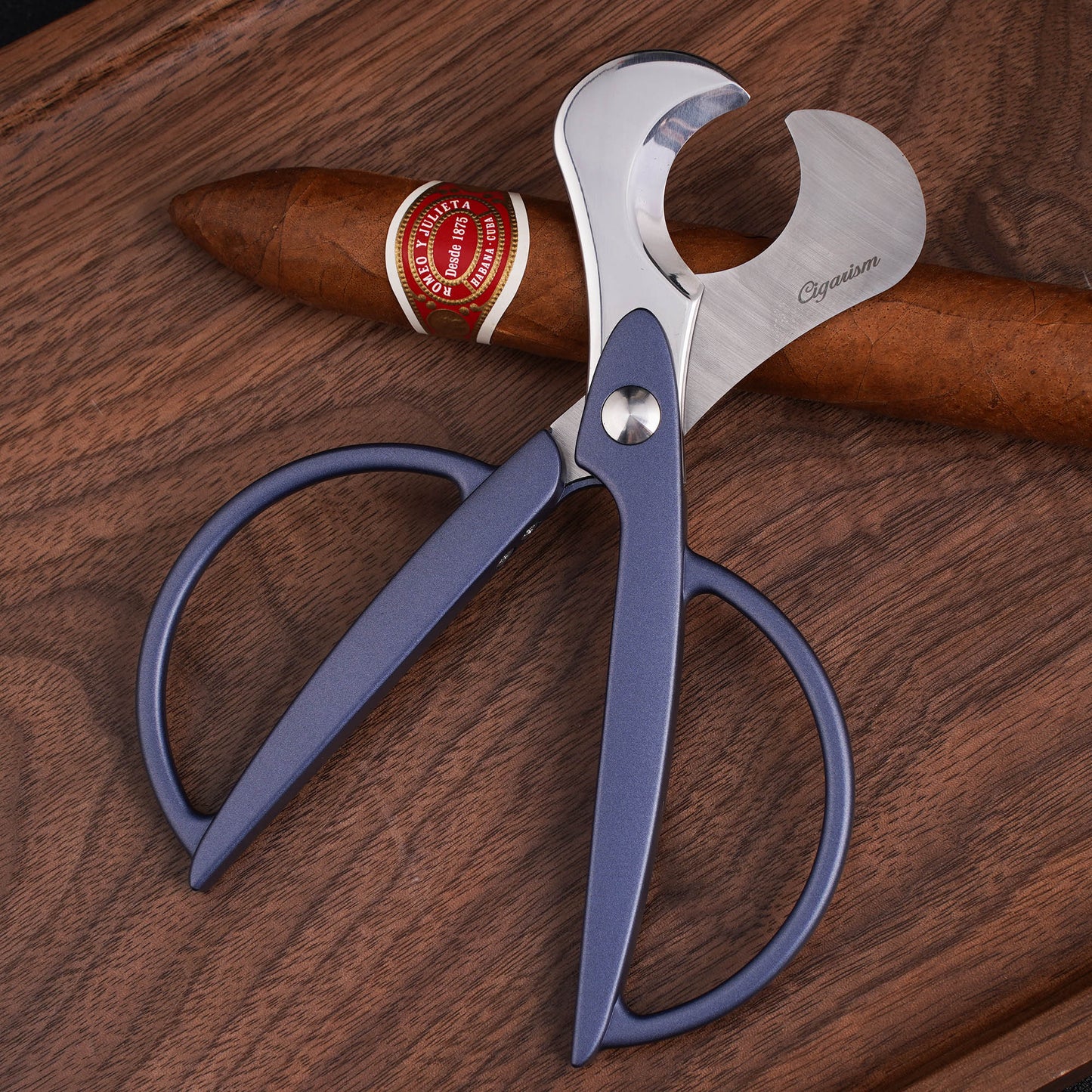 CIGARISM High-end Stainless Steel Blades Round Handle Cigar Cutter Scissors